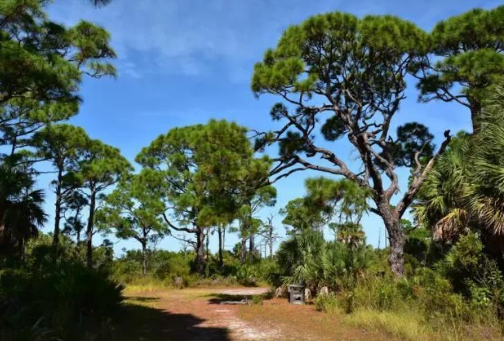 Собираемся на отдых во Флориду, Майями, США. Что для этого нужно знать.