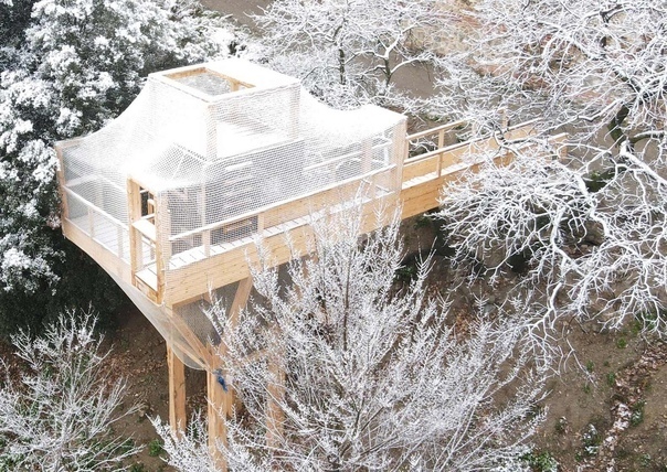 Лесная лаборатория из экологически чистой древесины ?