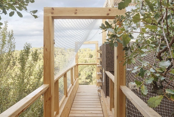 Лесная лаборатория из экологически чистой древесины ?