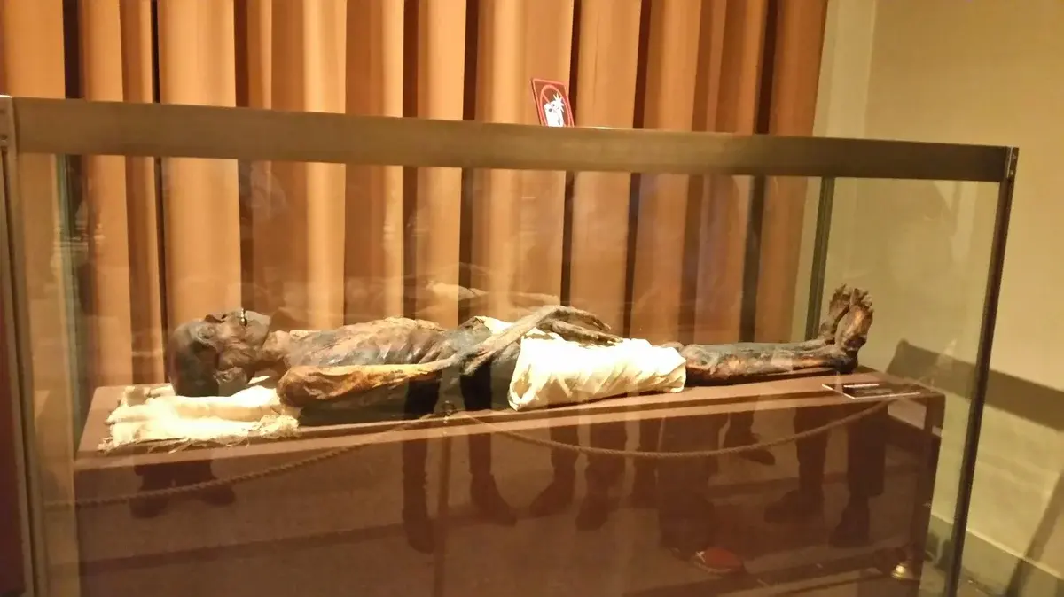 Санкт-Петербург - 2023: Мой отдых. Мои новые впечатления. Достопримечательности.