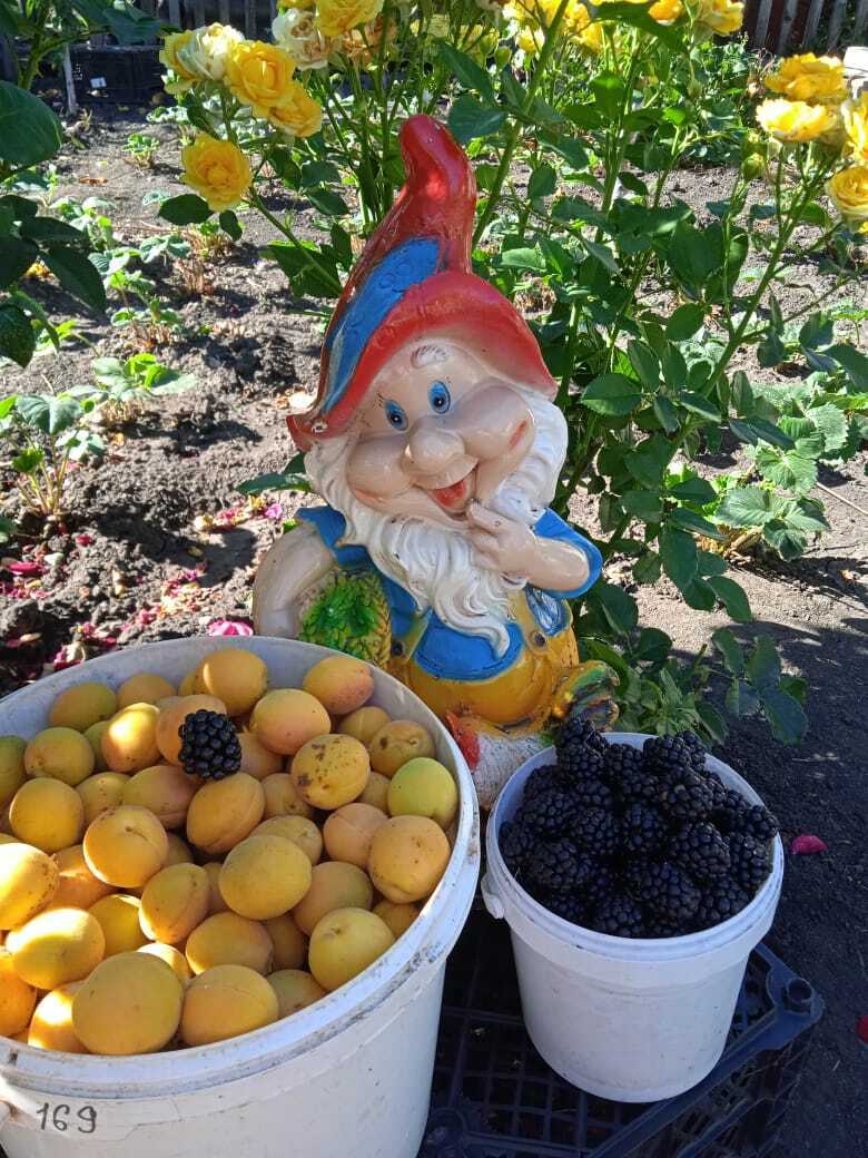 Какой презент мне подарили на 8 Марта: мой новый дачный талисман и подружка для Гном Гномыча. Как назвать пчелку?