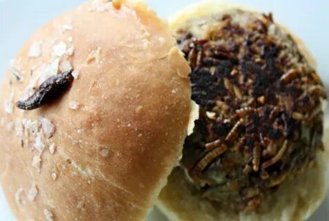 Пирожки с насекомыми топ блюдо из Китая