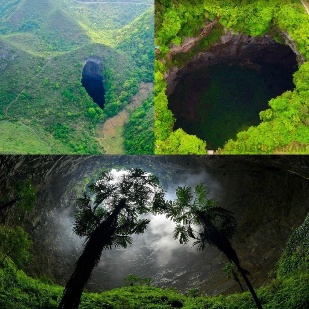 На дне гигантского карстового провала в Китае найден первобытный лес.
