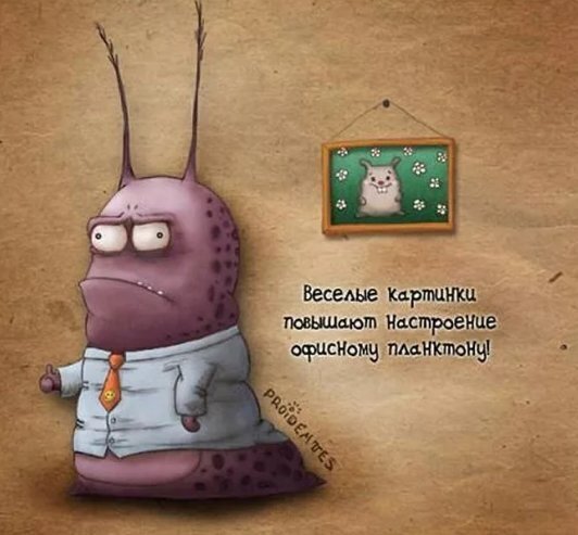 18 Мгновенных Способов Поднять Своё Настроение и Обогатить Жизнь Позитивом