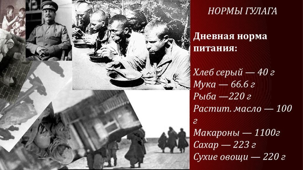 🚯 Массовые репрессии и политические убийства в Советском Союзе во время правления Иосифа Сталина ❌