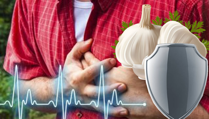 Изучение использования чеснока в лечении заболеваний сердца.Как вы относитесь к использованию чеснока при лечении сердца