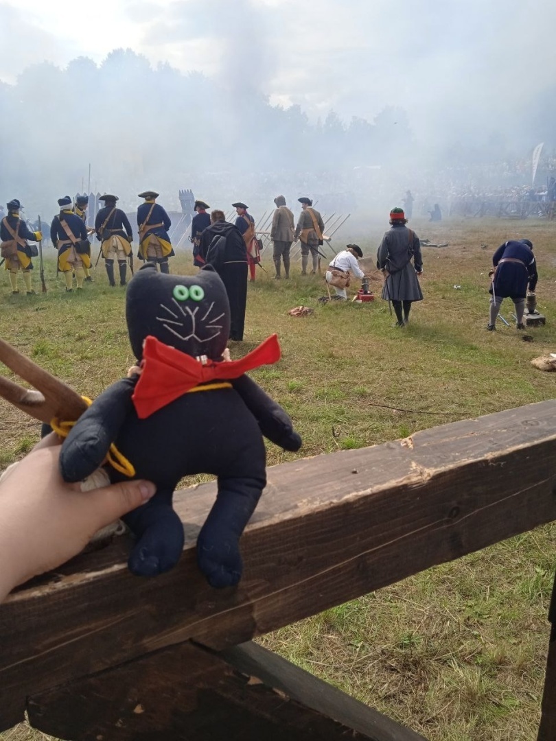 Как магический кот меня в Питер переманил