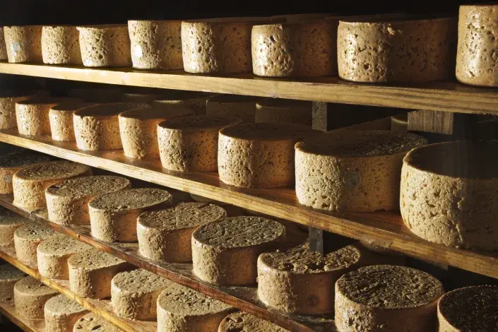 Скрытые заголовки: Теперь это самый дорогой сыр в мире