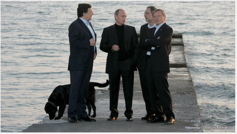 Что случилось со знаменитым чёрным лабрадором Путина Кони?