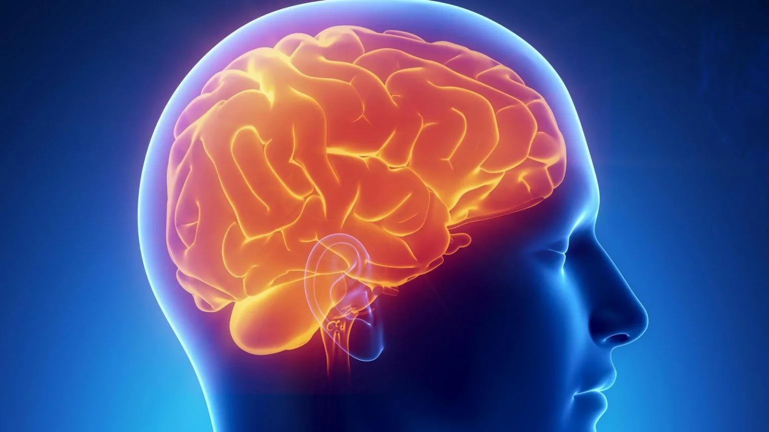 "Неиспользованный потенциал: Возможности и загадки человеческого мозга"