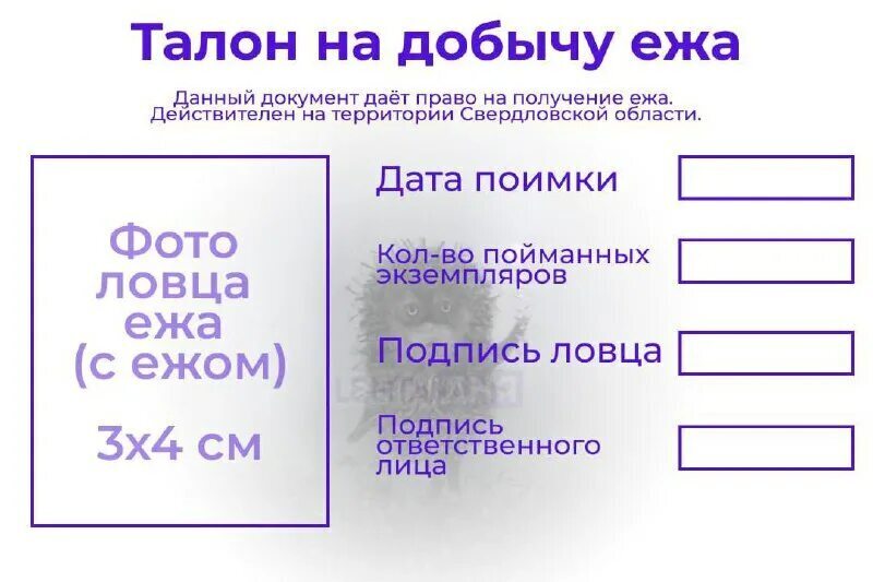 Не больше одного ежа в год! Власти установили лимит на добычу ежей и мышей