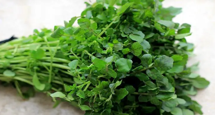 Знаете ли вы, какой овощ самый полезный на планете?