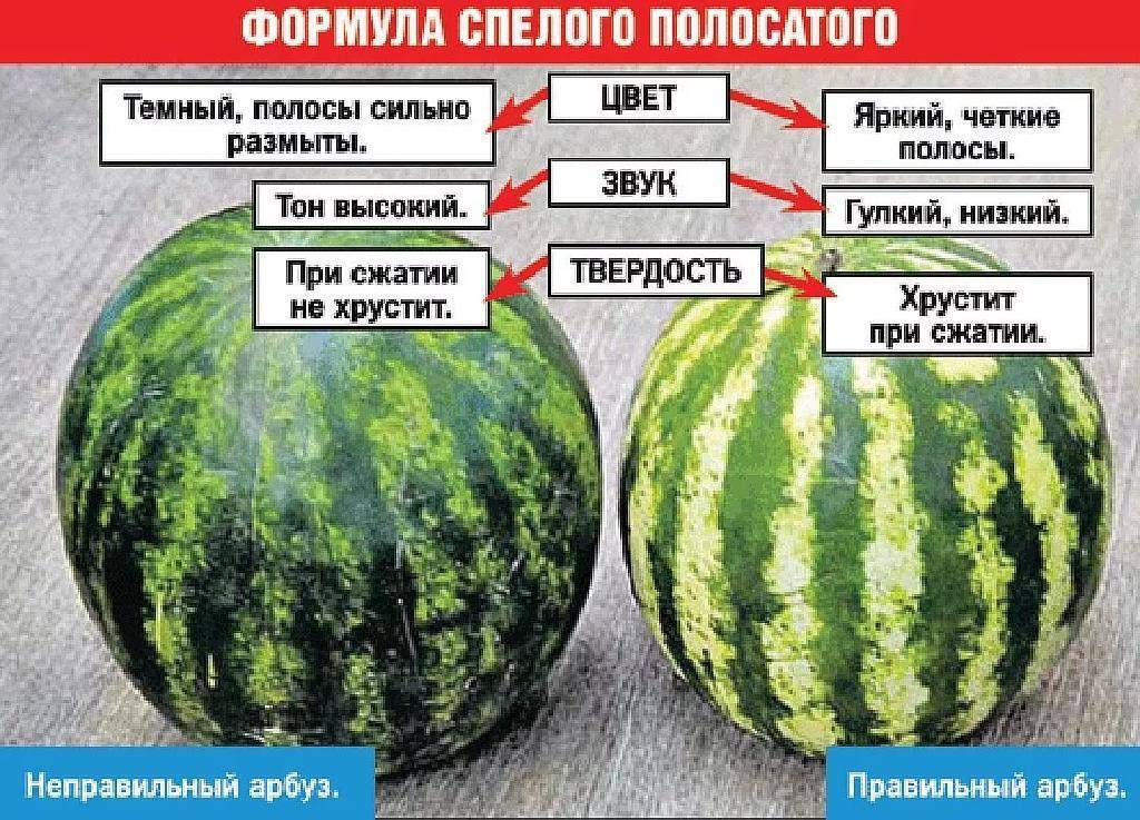 Выбираем самый сладкий арбуз: Как это сделать ,что порекоменндуете Вы ?