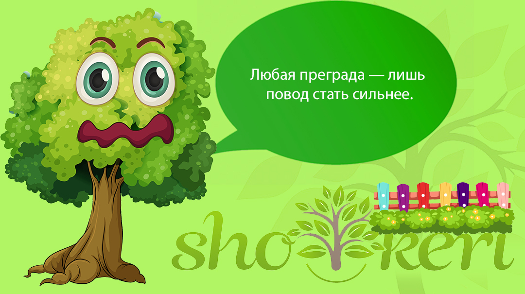 🌱8 финансовых шагов, которые помогут уменьшить стресс и тревогу🌱