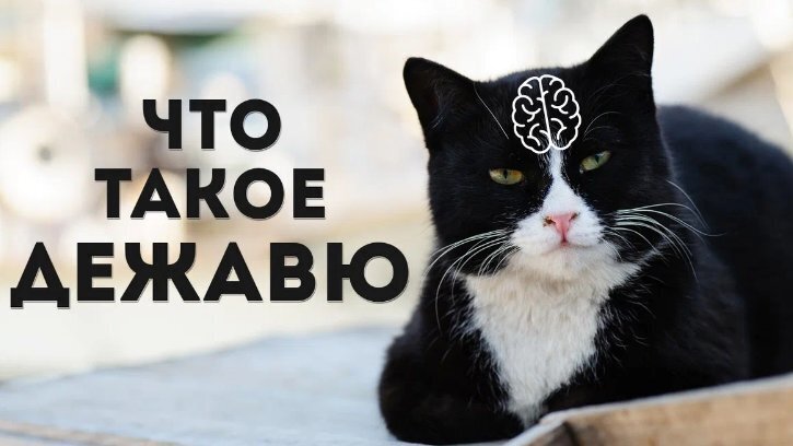 Тайны дежавю: Загадочные предчувствия, раскрываемые семейными врачами