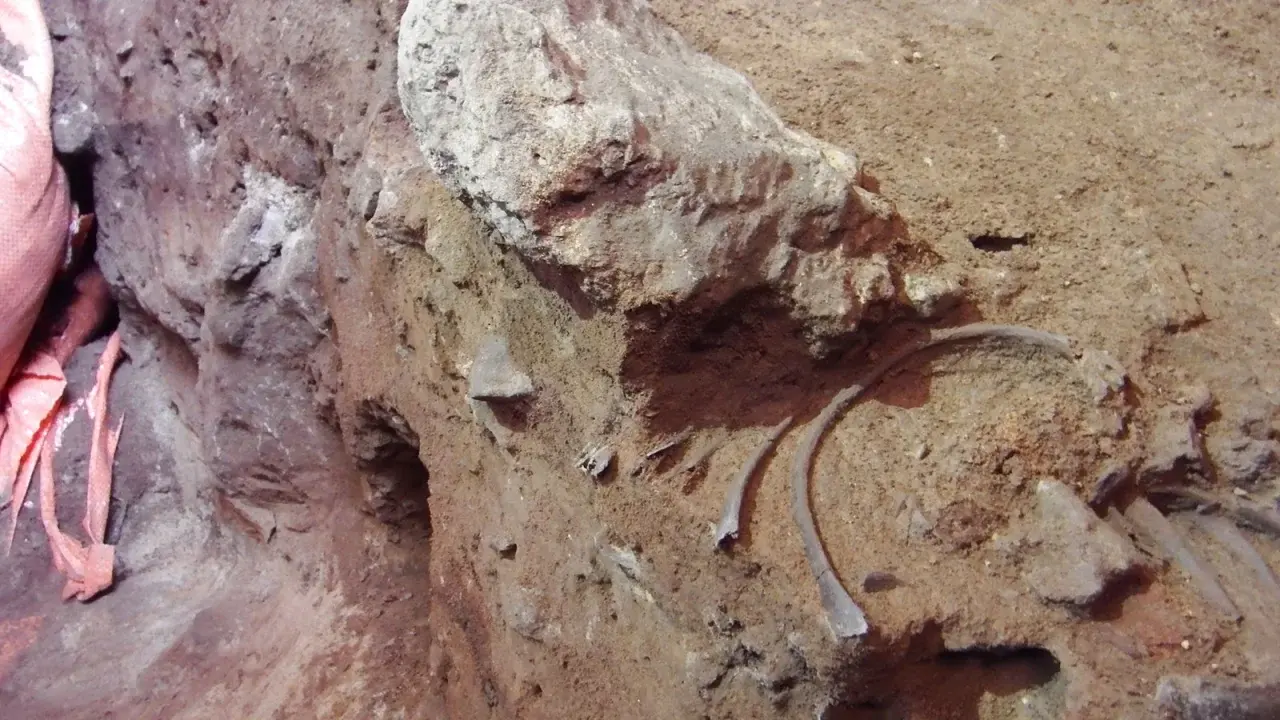 «Цветочное захоронение», раскопанное в 1960 году, изменило подход к изучению неандертальцев. Новое открытие ставит это под сомнение