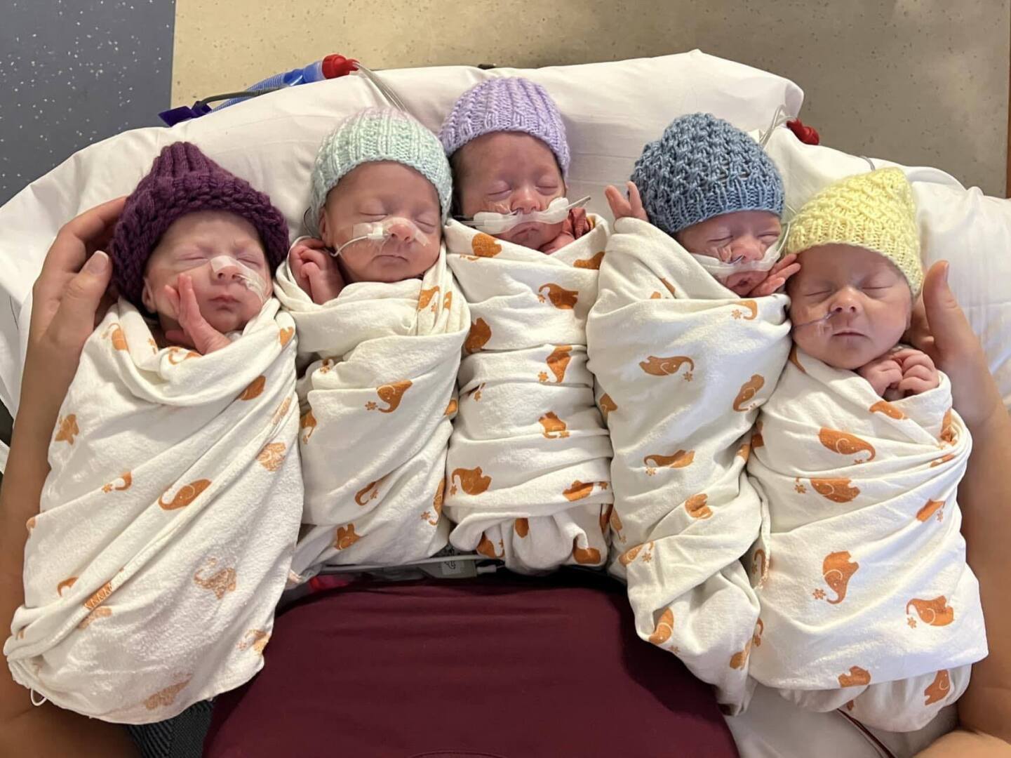 Пара, которая годами не могла иметь детей, родила сразу пятерых детей: «Бог был щедр»