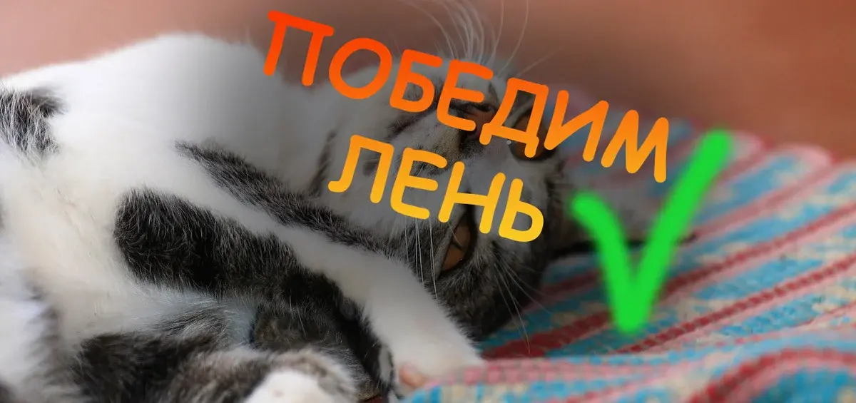 Лень читать? Найдите помощь здесь!