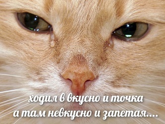 Не «Макдоналдс»… и точка