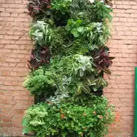 vertikalnaya-klumba-70.jpg