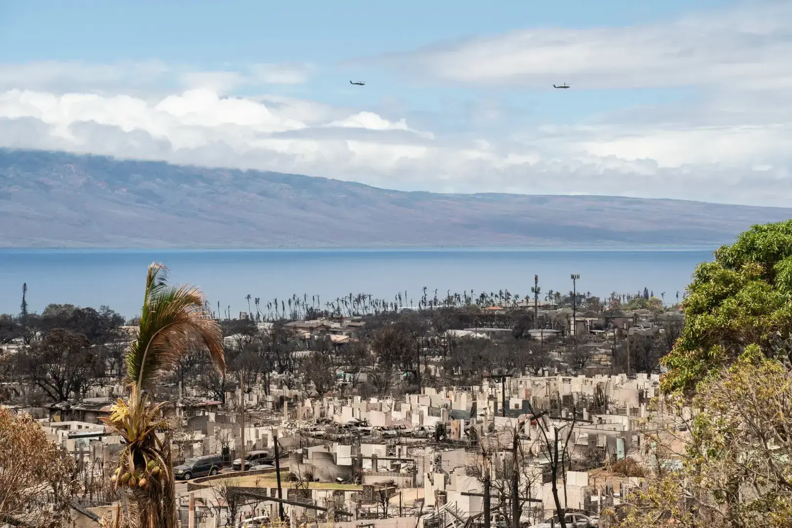 Мрачная реальность на Мауи: сотни людей все еще числятся в списках пропавших без вести через месяц после "Инферно"