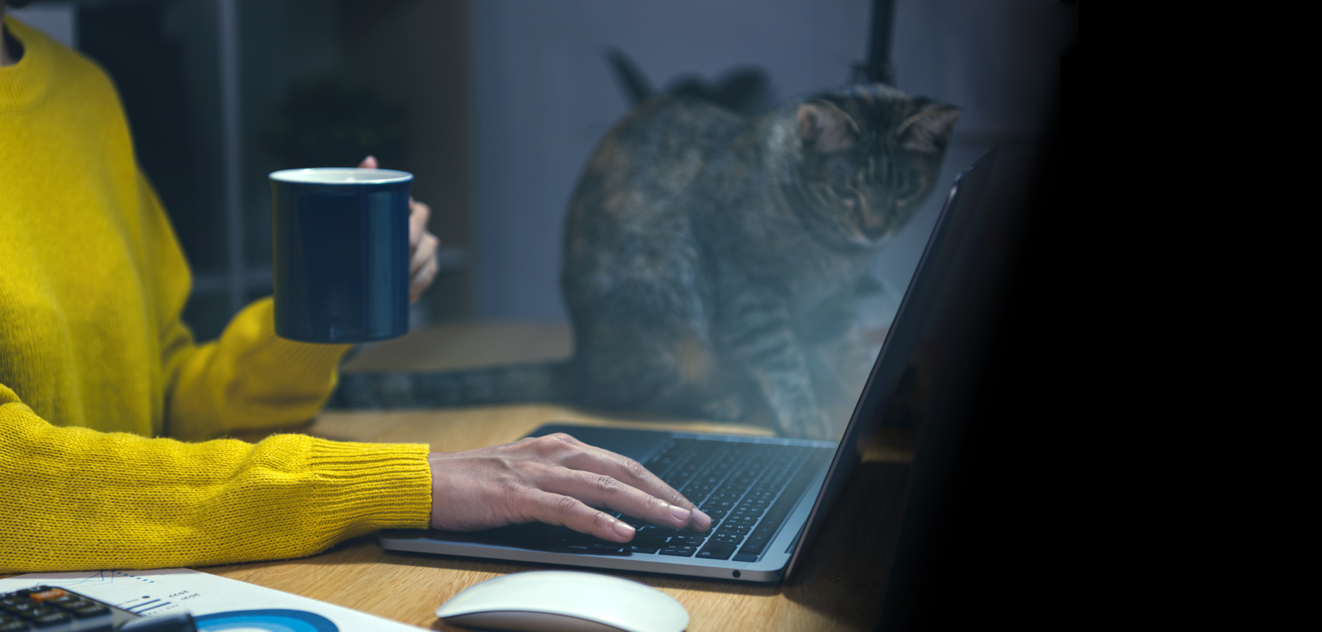 Как обманывают при поиске работы онлайн в Инернете и как не попасться на удочку мошенников?