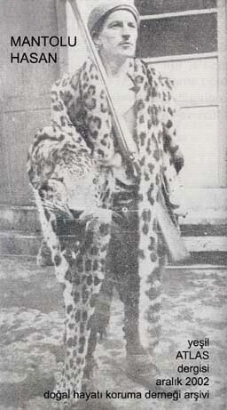 Анатолийский леопард вернулся к жизни. Гигантский кот 1 лира 12г.