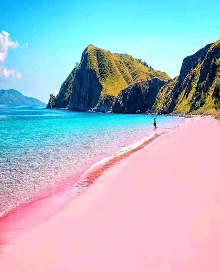 "Таинственный остров Комодо в Индонезии"