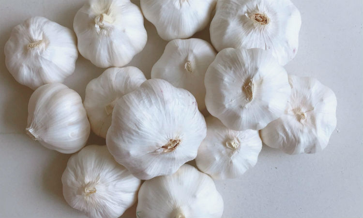 Подделки среди китайского чеснока: фальсификации уже присутствуют на рынках