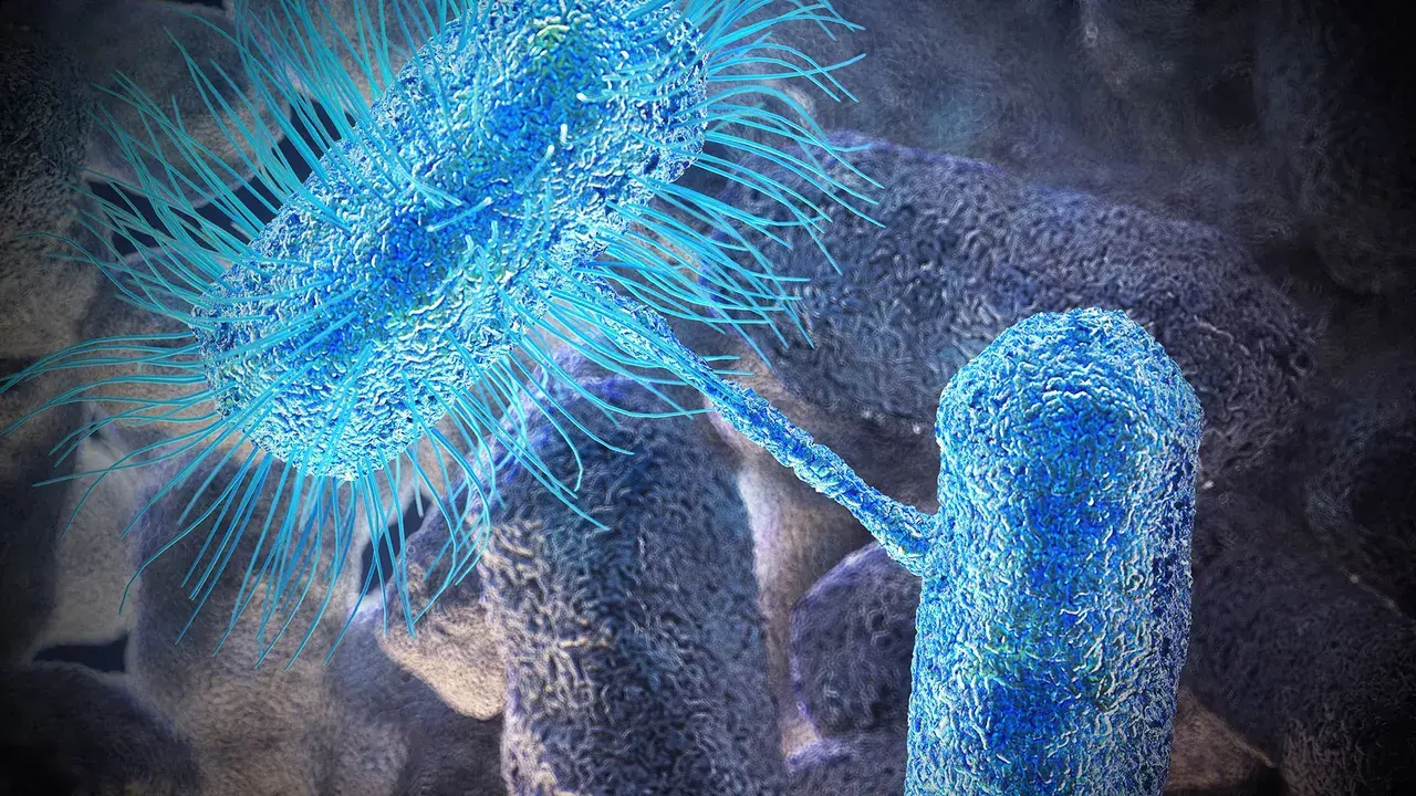 Как дарвинизм изменяет медицину