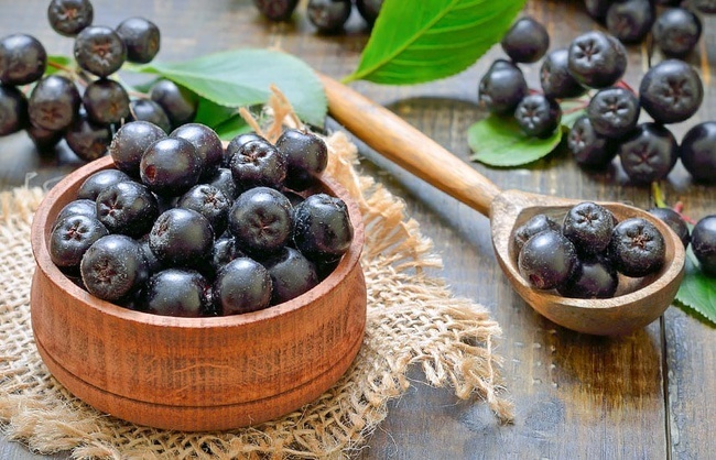 Чёрная рябина, её полезные свойства и что из неё можно приготовить