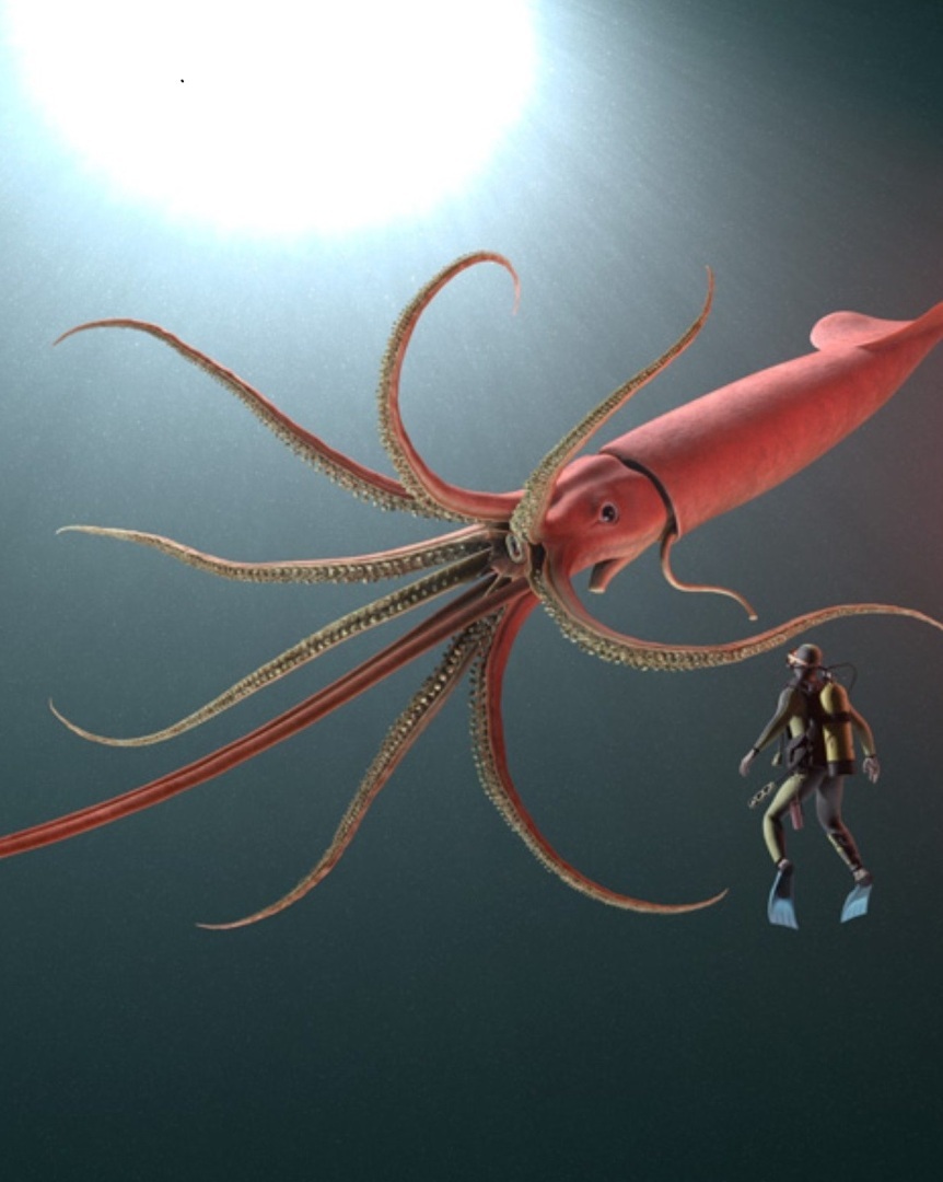 Секреты глубин океана: 10 удивительных морских существ