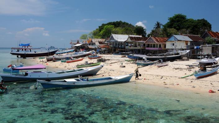 Почти две трети всех коралловых рифов в мире подвергаются чрезмерному вылову рыбы.