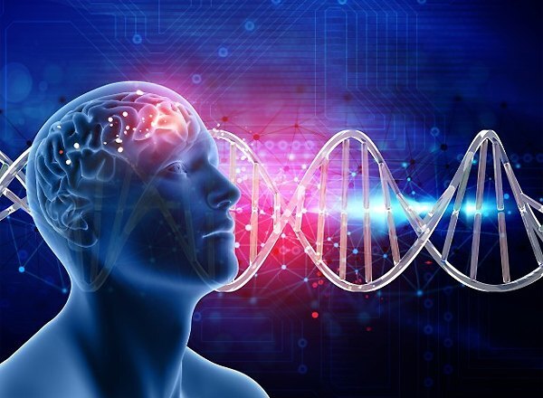 Психология жизни: как преодолевать трудности и строить успех