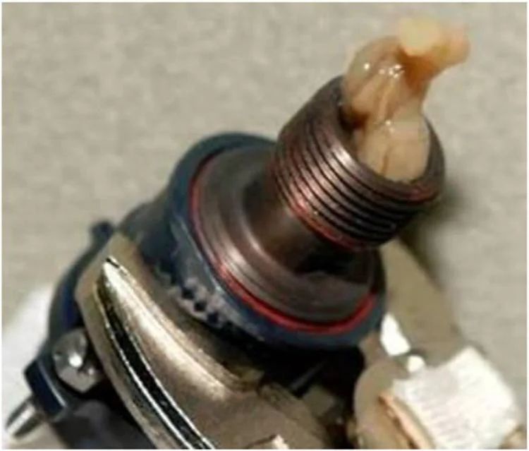 Микробы, путешествующие автостопом на грузовых кораблях МКС, могут вызвать заболевания астронавтов. У ученых есть решение