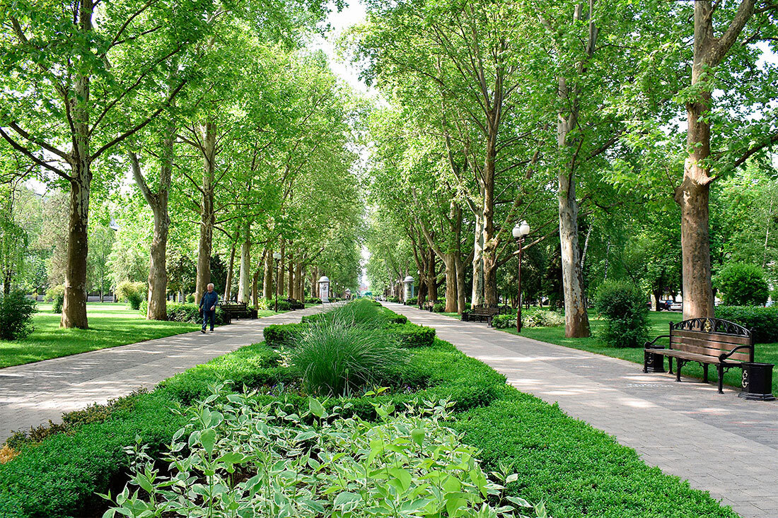 Рассказ "Туристические места Краснодара"