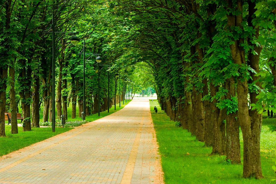 Рассказ "Туристические места Краснодара"