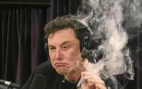 X Corp., основанная Илонам Маском, подала в суд на штат Калифорния.