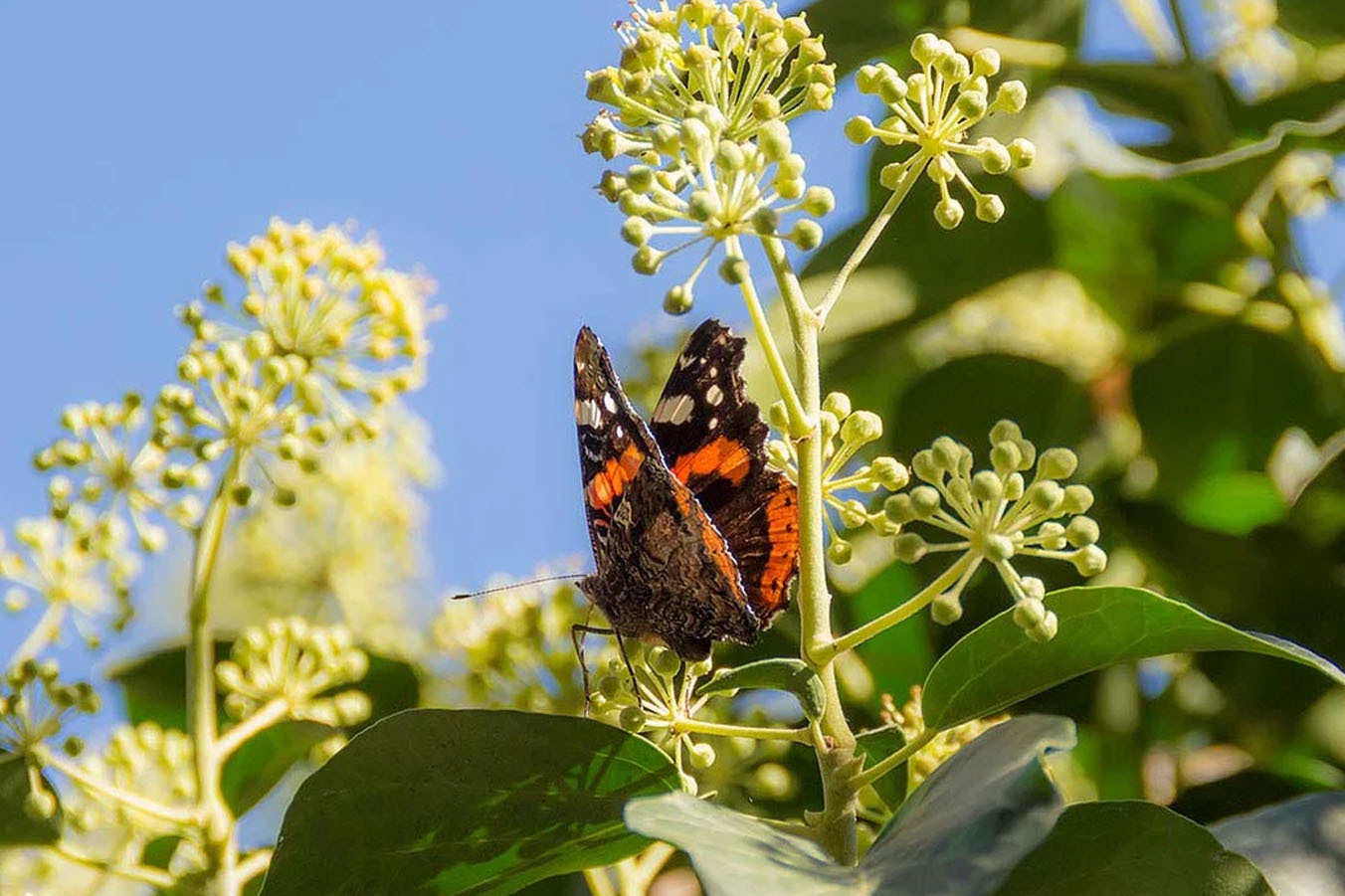 Такой сентябрь в Анапе