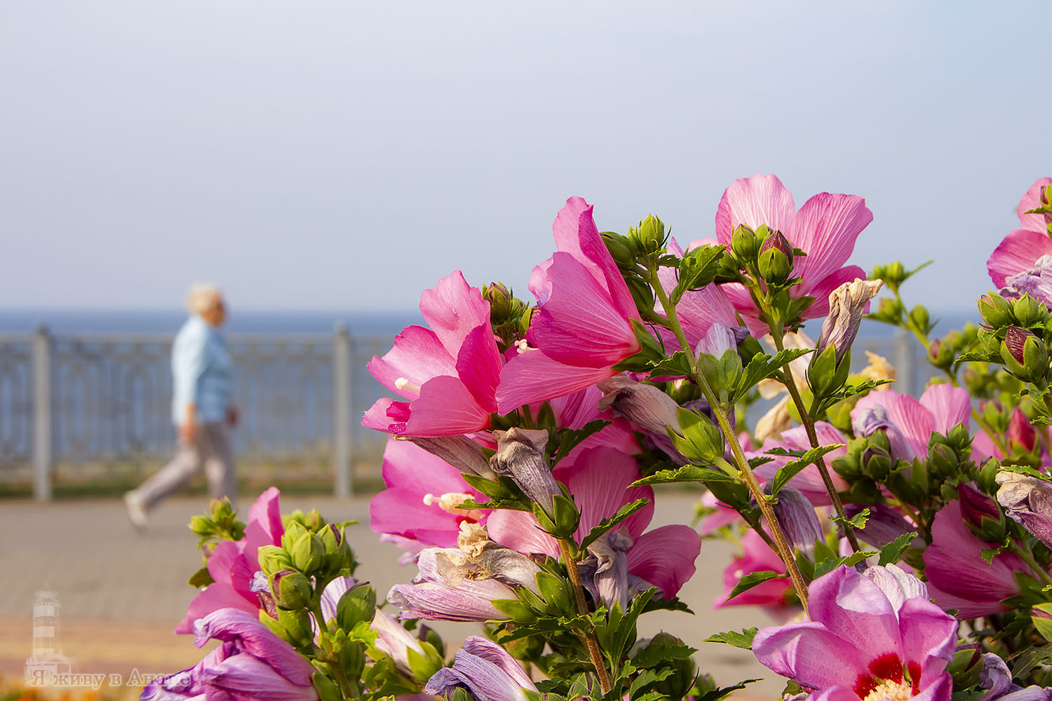 Такой сентябрь в Анапе