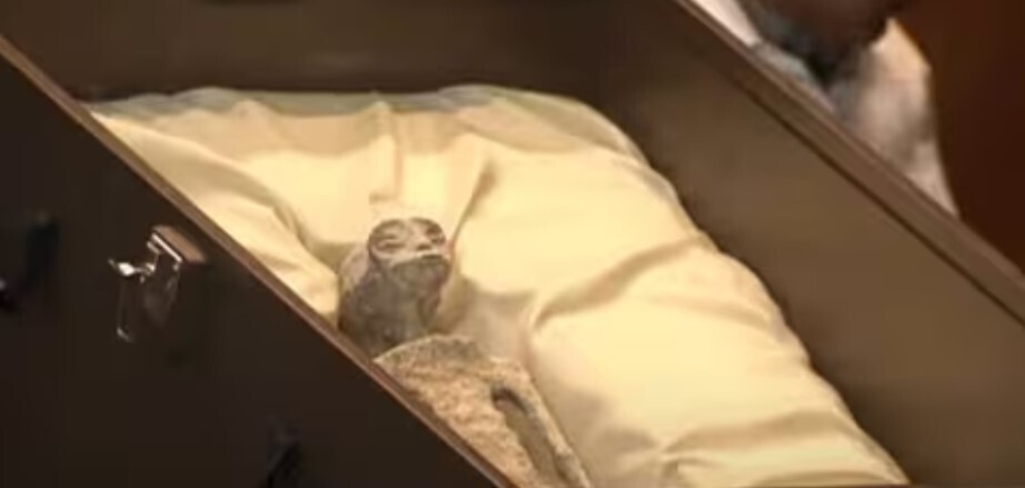 😱👽 Обнаружены два трупа инопланетян