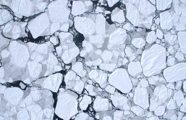 Антарктида может вступить в "новый режим" низкого уровня морского льда в связи с усилением глобального потепления