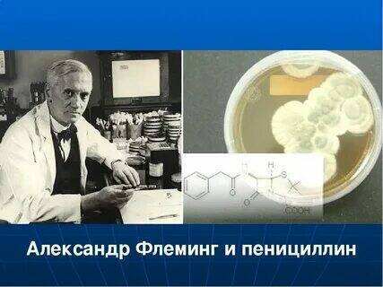 День рождения пенициллина.