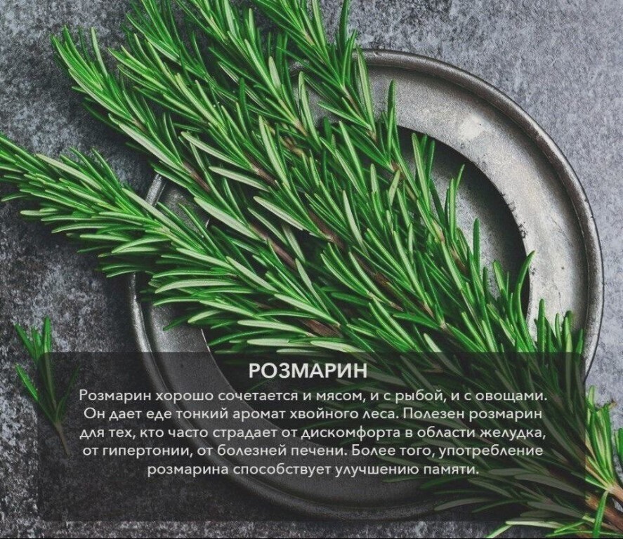 Интересное про розмарин