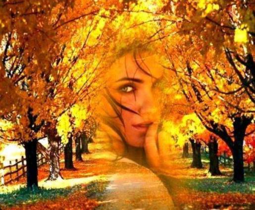 Что за «бабье» лето, почему так называется и когда бывает?