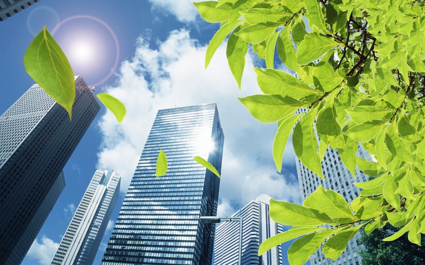 Экологические преимущества электромобилей: путь к чистому будущему