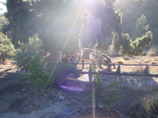 Тенерифе. Продолжение 2