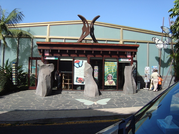 Тенерифе. Продолжение 2