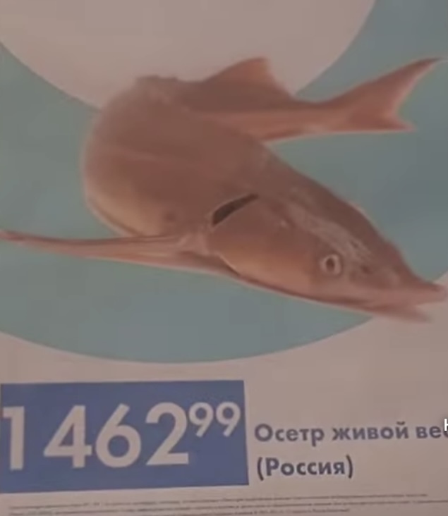 Вот бы россиян так кормили: чем угощали корейского лидера Ким Чен Ына на встрече с Владимиром Путиным. Один из рецептов