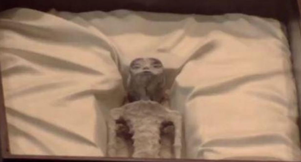 Исследователь показывает тела предполагаемых "нечеловеческих" существ мексиканскому конгрессу на слушаниях по НЛО